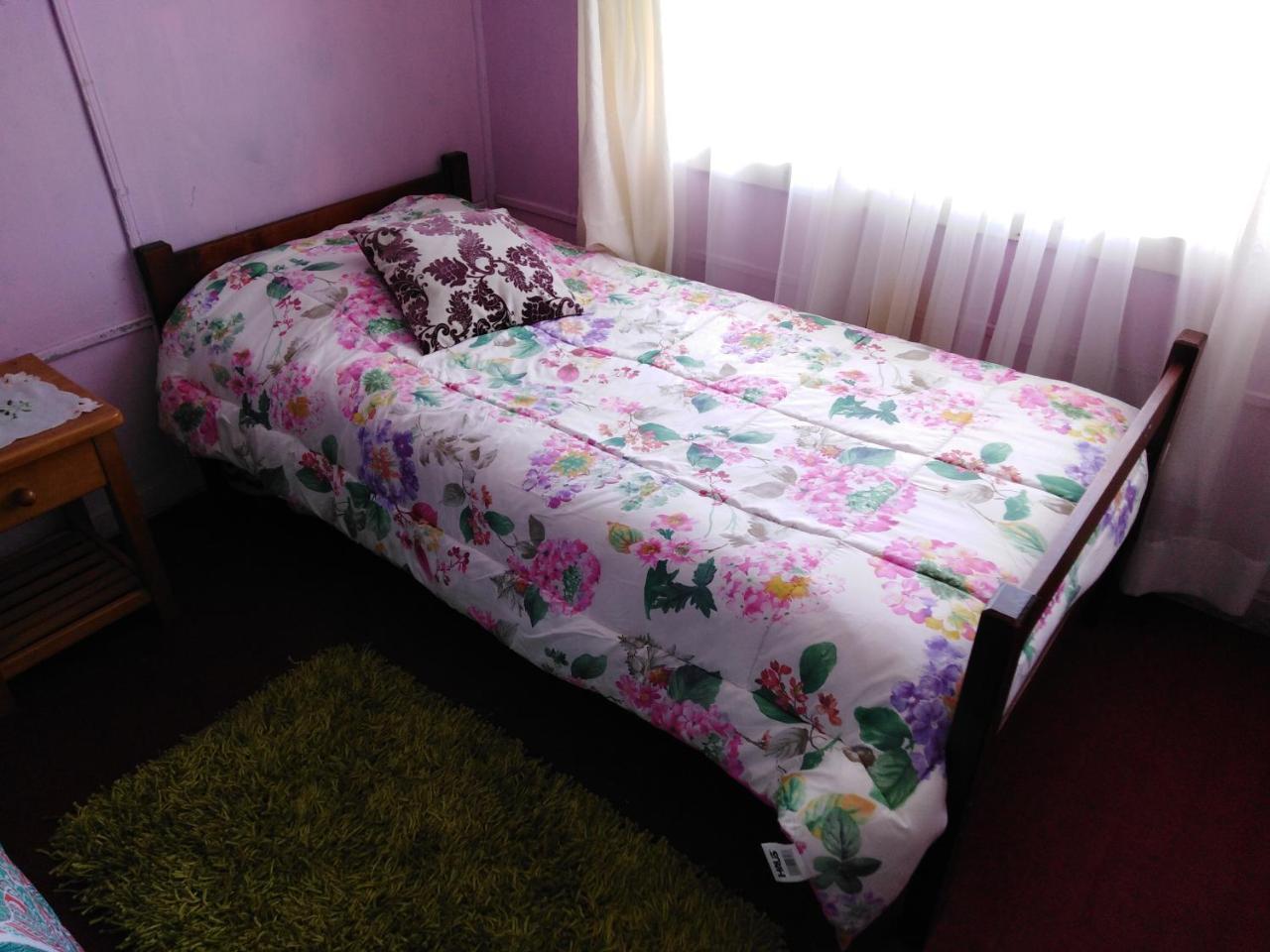 Hospedaje Del Sur Кастро Екстериор снимка