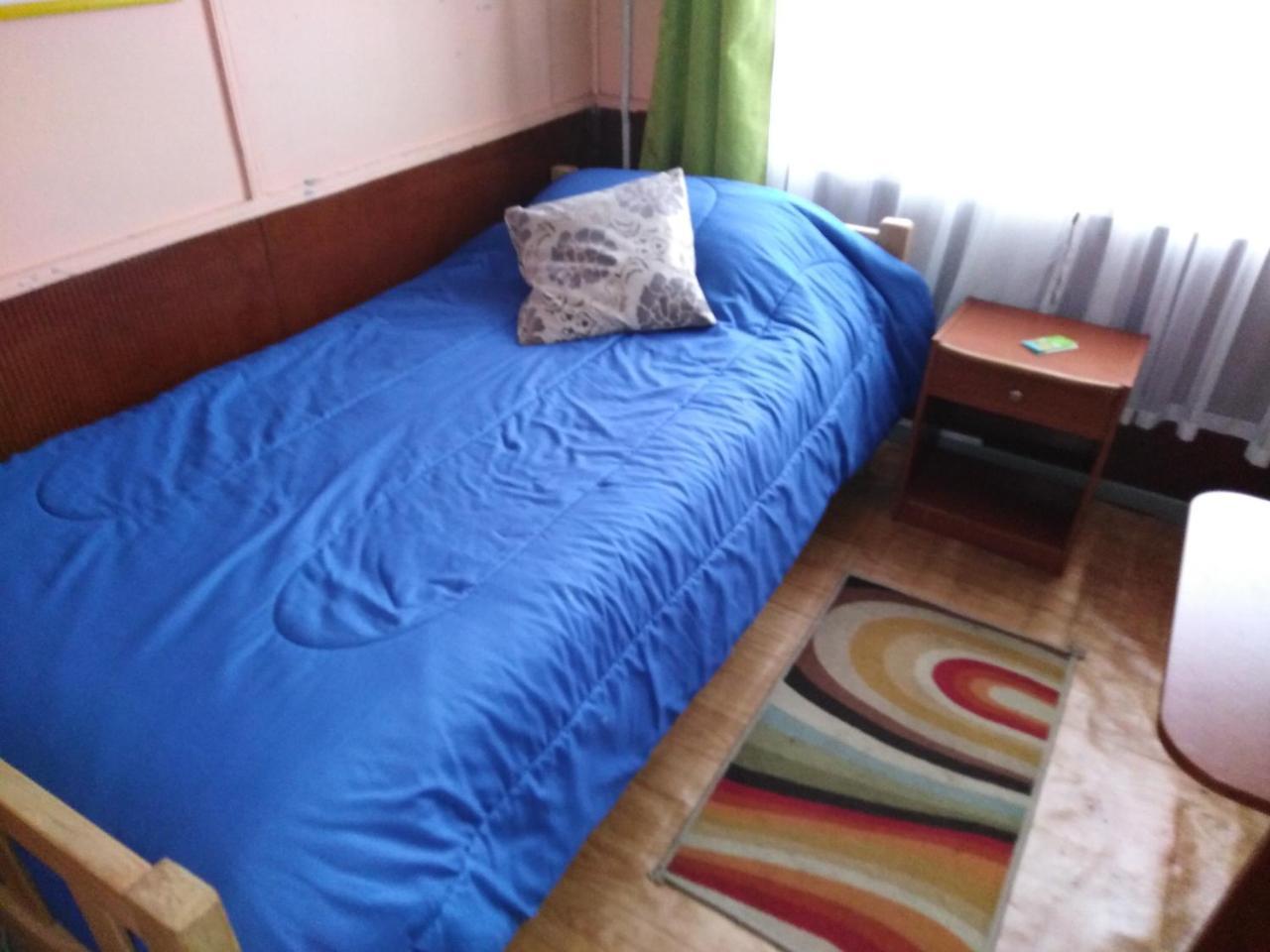 Hospedaje Del Sur Кастро Екстериор снимка